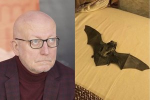 Savaitės blykstėse – žvaigždės lovoje įsitaisęs šikšnosparnis ir Arūno Valinsko nuostoliai