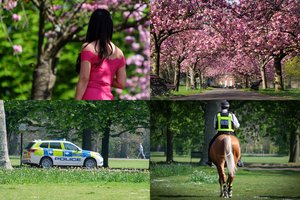 Jungtinėje Karalystėje gyvenantis lietuvis parodė, kas dedasi Londono parkuose žydint sakuroms