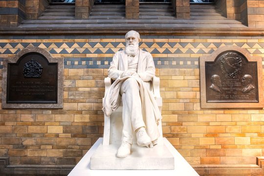 1882 m. mirė anglų gamtininkas, evoliucijos teorijos kūrėjas Charlesas Robertas Darwinas (73 m.).<br>123rf nuotr.