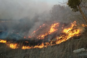 Specialistė paaiškino, kiek Lietuvai pavojingas Černobylio gaisras