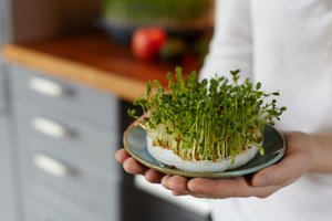 Ant palangės – pavasarinis energijos užtaisas: kaip patiems susidaiginti sėklų