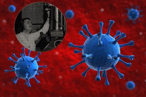 Keisti istorijos vingiai: metė mokyklą, bet atrado koronavirusą