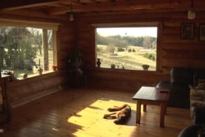 Susikūrė rojų 18 hektarų plote Ignalinos krašte, jų ramybę saugo senoji sodyba  