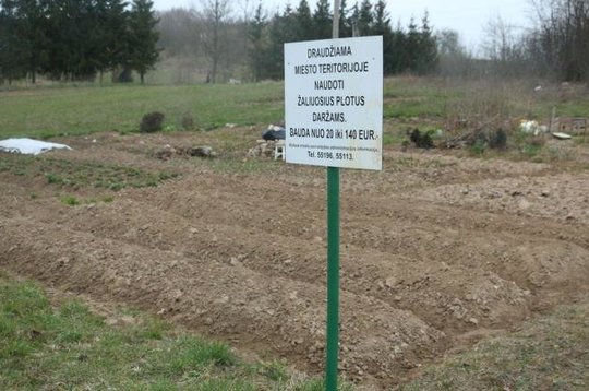 Parke Alytuje vėl įrengti daržai: savivaldybė prašo juos pašalinti