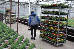 G. Nausėda – apie lengvatas ir tai, kaip išsaugoti darbo vietas