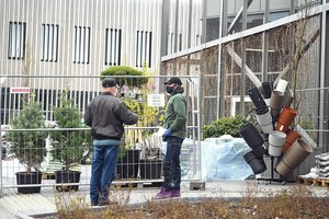 Sodininkams užplūdus parduotuves panaudoti net apsauginiai tinklai  