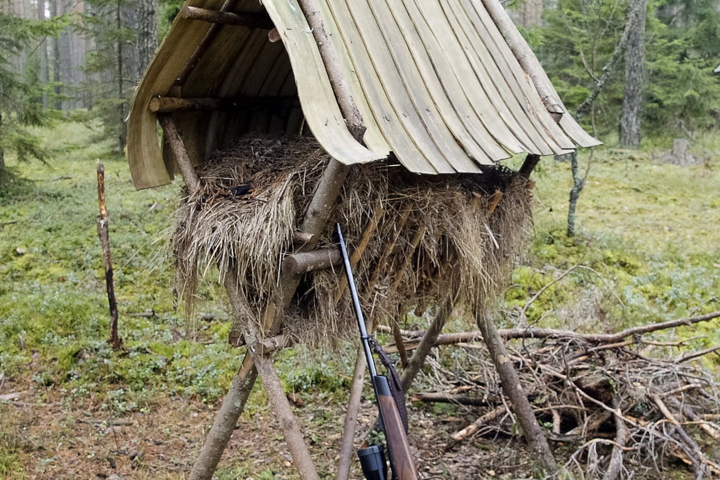  Ėdžias įrengę medžiotojai dažnai palieka ir vaizdo kamerą, kad galėtų stebėti miško žvėris, juos suskaičiuoti.<br> V.Ščiavinsko asociatyvioji nuotr.
