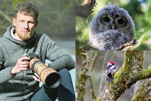 Žmogus, kurio gyvenimą Vilniuje diktuoja paukščiai: ką mums sako jų giesmės?