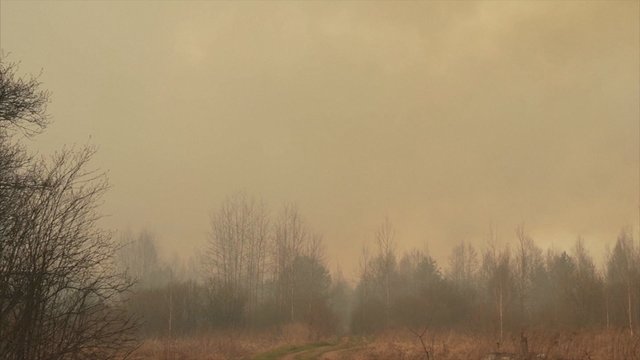 Savaitgalį Černobylyje tęsiasi gaisrų gesinimas – kalti smarkūs vėjai 