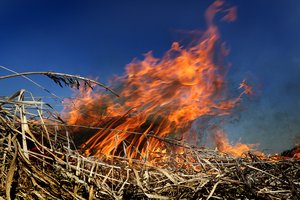 Savaitgalį ugniagesiai skubėjo gesinti 76 žolės gaisrus