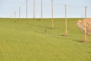 Praėjusią savaitę elektra Lietuvoje brango penktadaliu