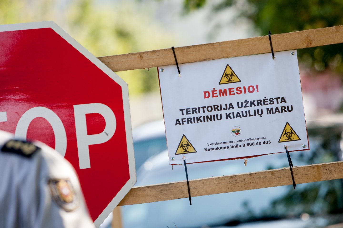Artimiausiomis dienomis ūkio teritorijoje bus vykdomi ūkio ir transporto priemonių dezinfekavimo darbai.<br>D.Umbraso asociatyvi nuotr.