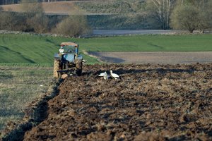 Jau galima deklaruoti pasėlius nuotoliniu būdu