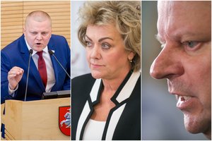 Premjerui ir opozicijai nesutinkant liudyti, išvados dėl I. Rozovos gali būti pateiktos be visų atsakymų