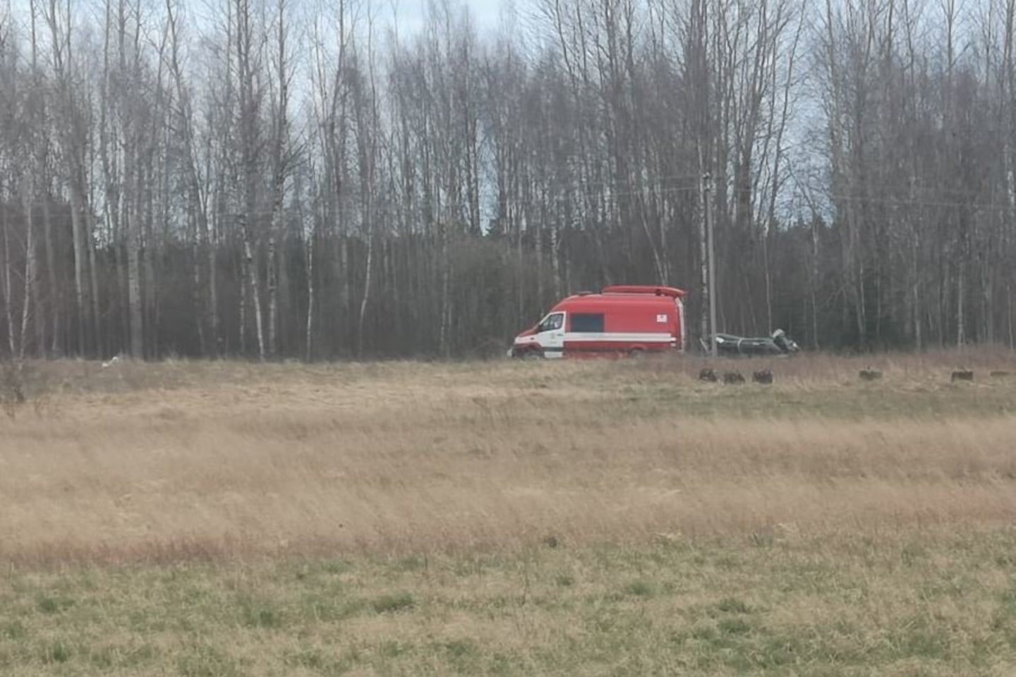 Paieškos akimirka.<br>Rokiškio Sirena nuotr.