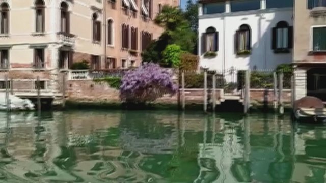 Biologas užfiksavo neįtikėtiną vaizdą: Venecijos kanalus užplūdo medūzos