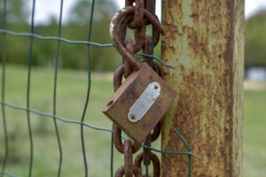 Siūloma leisti privatizuoti apleistus žemės sklypus