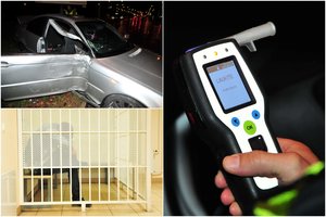 Kėdainių verslininkas po avarijos rėžė stulbinančią versiją: „Vežiau ne narkotikus, o saldainius“