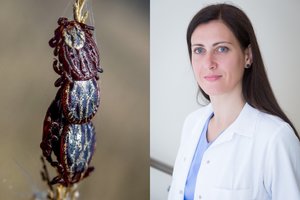 Gydytoja įspėja gyventojus apie parazitus gamtoje: vienas įkandimas gali baigtis paralyžiumi