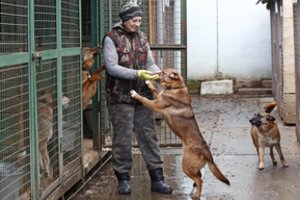 Žmonių apsauga virto gyvūnų tragedija: prieglaudos susiduria su didžiulėmis problemomis