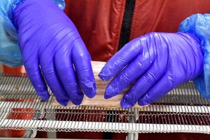 PEG ekspertai: Lietuvos pastangos saugoti darbo vietas – vis dar per lėtos