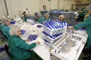 Kitos savaitės pradžioje „Intersurgical“ pagamins apie pora šimtų tūkstančių kaukių-respiratorių