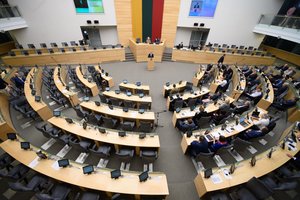 Seimo etikos sargai siūlo negaliojančiu pripažinti teisėjos S. Rudėnaitės atleidimą