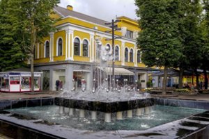 Kauno Vinco Kudirkos viešoji biblioteka mini 95-metį ir kviečia jį švęsti virtualiai