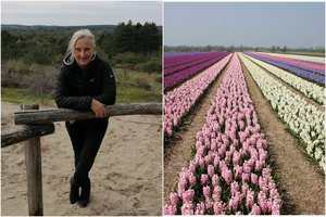 Nyderlanduose gyvenanti emigrantė pasakė, ko lietuviai galėtų pasimokyti iš olandų