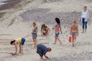 Karantinas išvijo miestiečius į kaimą: prognozuoja labai įtemptą vasarą