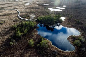 Visi į gamtą – nuo šiandien Lietuvoje lankytojams atveriami pažintiniai takai