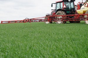 Žemės ūkio karantinas nepalietė, bet optimizmą gali nuslopinti orai