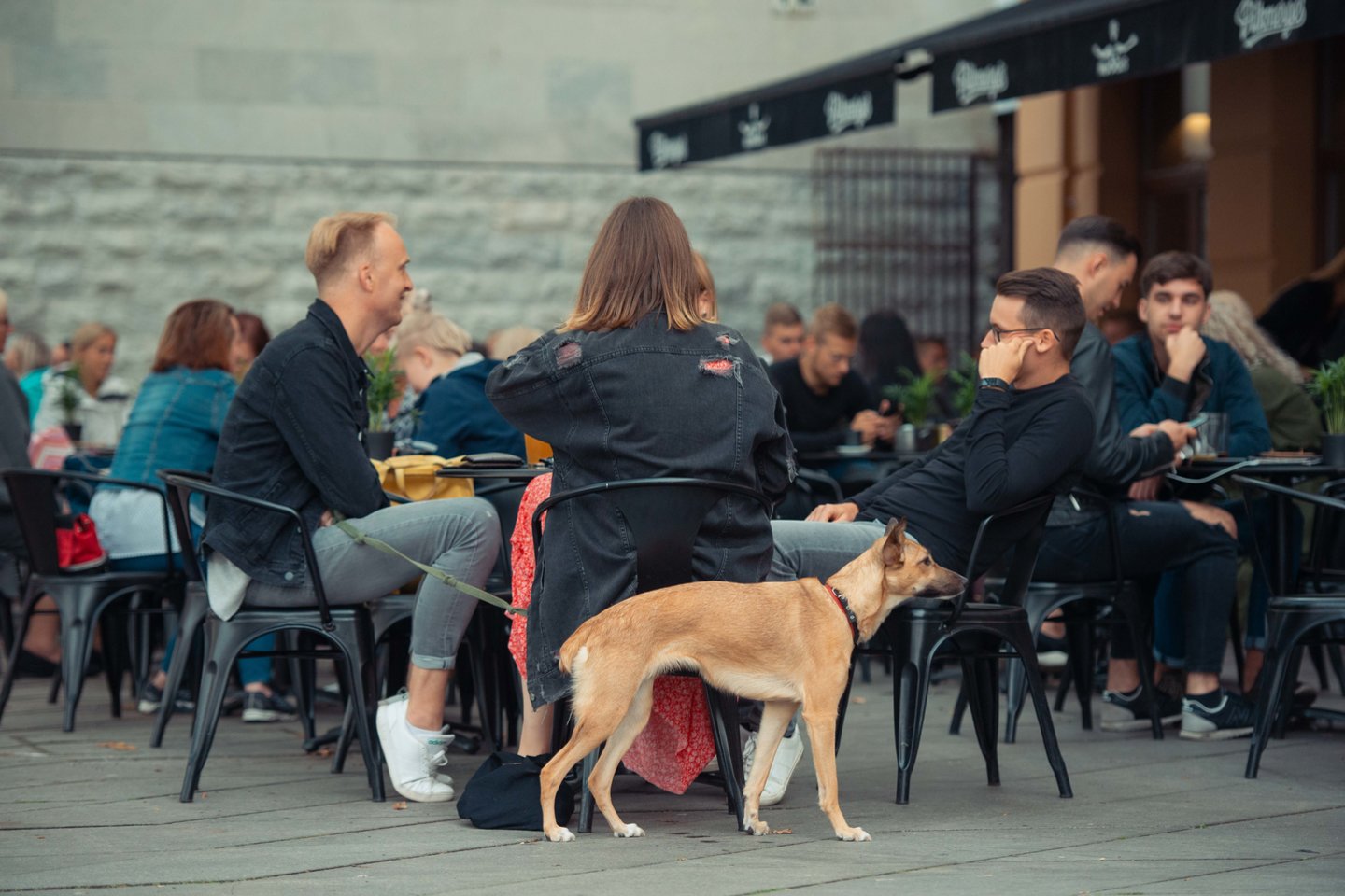 Latvijoje, priešingai nei Lietuvoje, nebuvo uždaryti restoranai.<br>Kauno miesto savivaldybės nuotr.