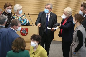 Seimo darbotvarkėje nebeliko kreipimosi į KT dėl teisėjos S. Rudėnaitės atleidimo