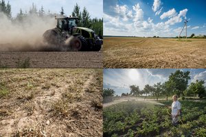 Klimatologas: dėl kritulių trūkumo Lietuvoje – pokyčiai dirvožemyje, žadama sausra