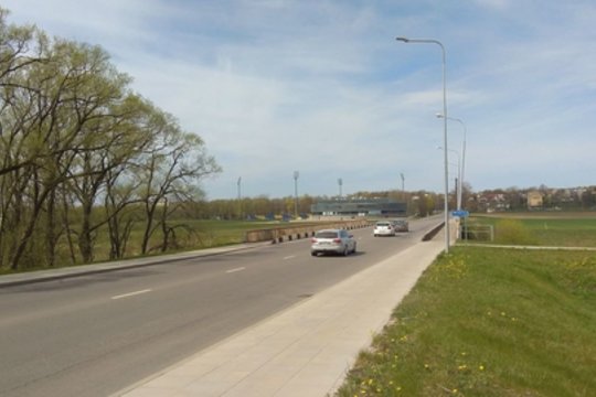 Kėdainiuose partrenkęs į kelią išbėgusį šunelį, vairuotojas nė nesustojo