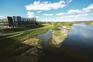 Nerį Kaune jau galima perbristi – mokslininkas perspėjo, kas laukia kauniečių vasarą