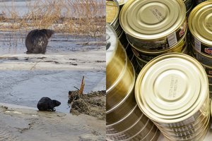 Švenčionių r. aptiktas įtartinas žvėrienos konservų cechas