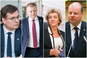 NSGK opozicinių frakcijų nariai pateikė savo išvadas dėl I. Rozovos