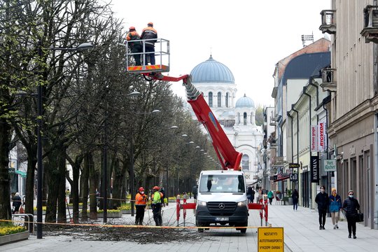 Istorijos pokštai: mokslininkas priminė, kodėl gegužės 1-oji turėtų būti mieliausia data dešiniesiems