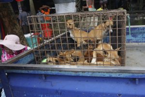 Atskleidė, kas vyksta Kinijos turguose po kovos su koronavirusu: nebeleidžia fotografuoti ir filmuoti