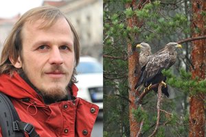 10  patarimų, kaip tinkamai elgtis miške ir nepakenkti jo gyventojams