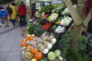 Tikrintojai neturi prie ko prikibti – lietuviškos daržovės kuo puikiausios  