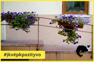 Jau metas gražinti aplinką – kauniečiai rodo pavyzdį ir kviečia jungtis