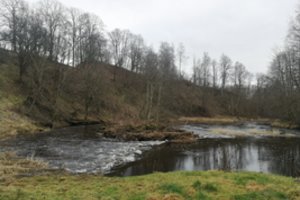 Tvarkomas piliakalnis, kur stovėjo Gedimino tvirtovė – Lietuvos valstybės karinė bazė Žemaitijoje