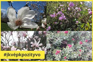 Stulbinanti vieta Lietuvos širdyje: čia jus pakerės žiedais apsipylusių medžių jūra