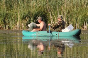 Gyventojai apie galimą žalą gamtai praneša vis dažniau