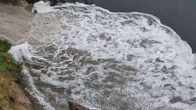Prie Neries vaikštinėjęs vilnietis nustėro: į upę vėl plūsta baltų putų srovė