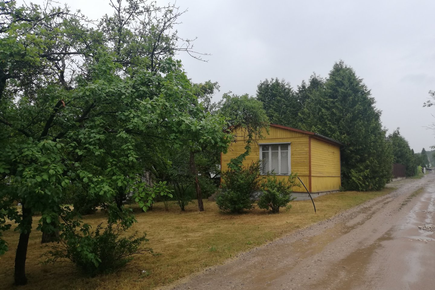 Keliaujant po Vilniaus apylinkes, gali atrodyti, kad sodus negrįžtamai pakeis namų kvartalai, bet apsilankius pavyzdingoje bendrijoje, pavyzdžiui, Telšiuose, sodų ateitis atrodo gerokai optimistiškesnė.<br>M.Šiupšinsko nuotr.