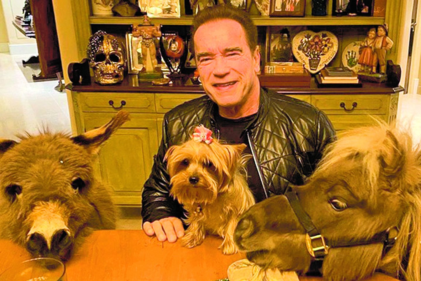 A.Schwarzeneggeris karantiną leido keturkojų augintinių draugijoje. <br>Nuotr. iš „Twitter“